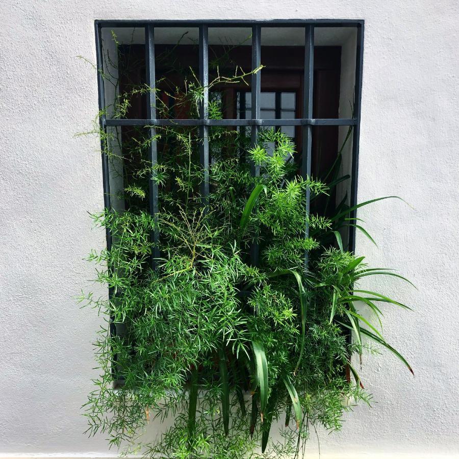 Casa-Patio Axerquia Daire Cordoba Dış mekan fotoğraf